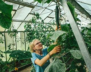 Gartengilde am Lietz-Internat Gartengilde am Lietz-Internat