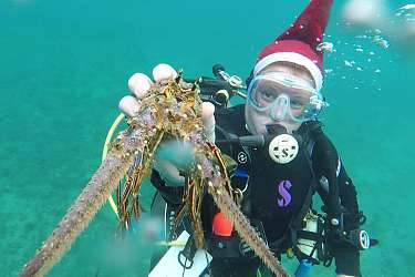 High Seas High School - Das segelnde Klassenzimmer