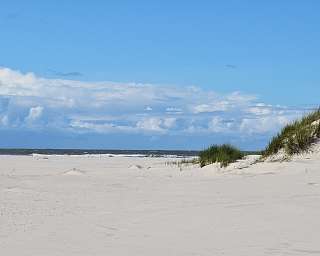 Marketinggilde am Lietz-Internat Marketinggilde am Lietz-Internat