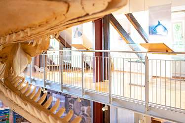 Nationalpark-Haus Wittbülten am Lietz-Internat Nationalpark-Haus Wittbülten am Lietz-Internat