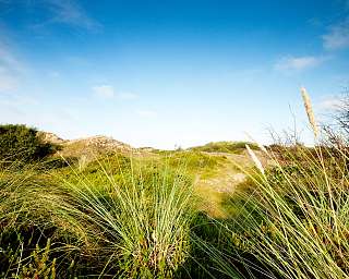 Lietz-Internat auf der Insel Spiekeroog Lietz-Internat auf der Insel Spiekeroog