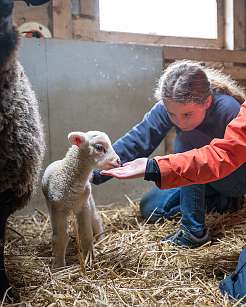 Tierhaltungsgilde am Lietz-Internat Tierhaltungsgilde am Lietz-Internat