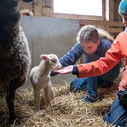 Tierhaltungsgilde am Lietz-Internat