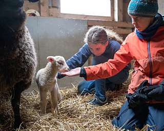 Tierhaltungsgilde am Lietz-Internat