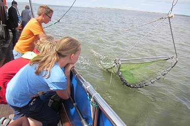 Sommer-Insel-Uni am Lietz-Internat auf Spiekeroog Sommer-Insel-Uni am Lietz-Internat auf Spiekeroog