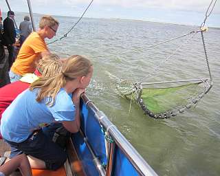 Sommer-Insel-Uni am Lietz-Internat auf Spiekeroog