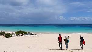 16.3.2023 | Bermuda: Panorama des pinken Strandes mit Tobi, Nathalie und Tino © Carla P Bermuda: Panorama des pinken Strandes mit Tobi, Nathalie und Tino