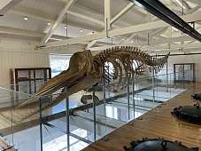 4. April 2025: Im Museum © NN Im Museum