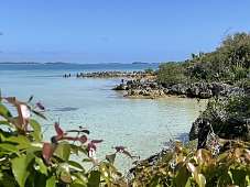 13. März 2025: Wir erkunden die Insel © NN Wir erkunden die Insel