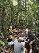 Biounterricht im Dschungel in Longo Mai