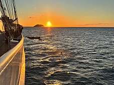 Swimmcall vor Martinique