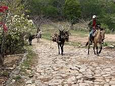 17.3.2026: Leben auf der Finca