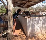 19.3.2026: Leopold und das Schwein