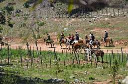 21.3.2026: Reiten durch die Berge Kubas