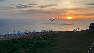 28. April 2025: Abschied von Helgoland © Felix Abschied von Helgoland