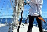 17.4.2026: Bosun Greta bei der Arbeit