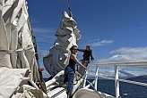 26.4.2026: Lilly K. und Greta genießen das Sailhandling