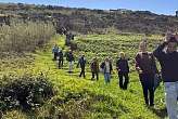 27.4.2026: Wanderung im Auenland