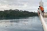 26.3.2026: Swim Call auf Jamaica